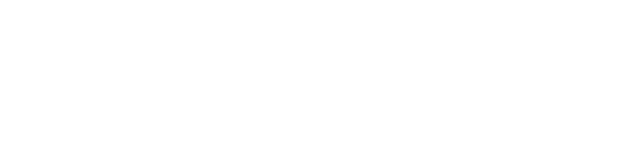 Perplexity_AI_logo 2 (1)