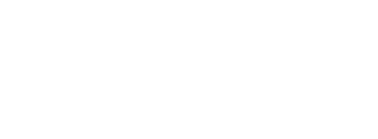 gemini (1)
